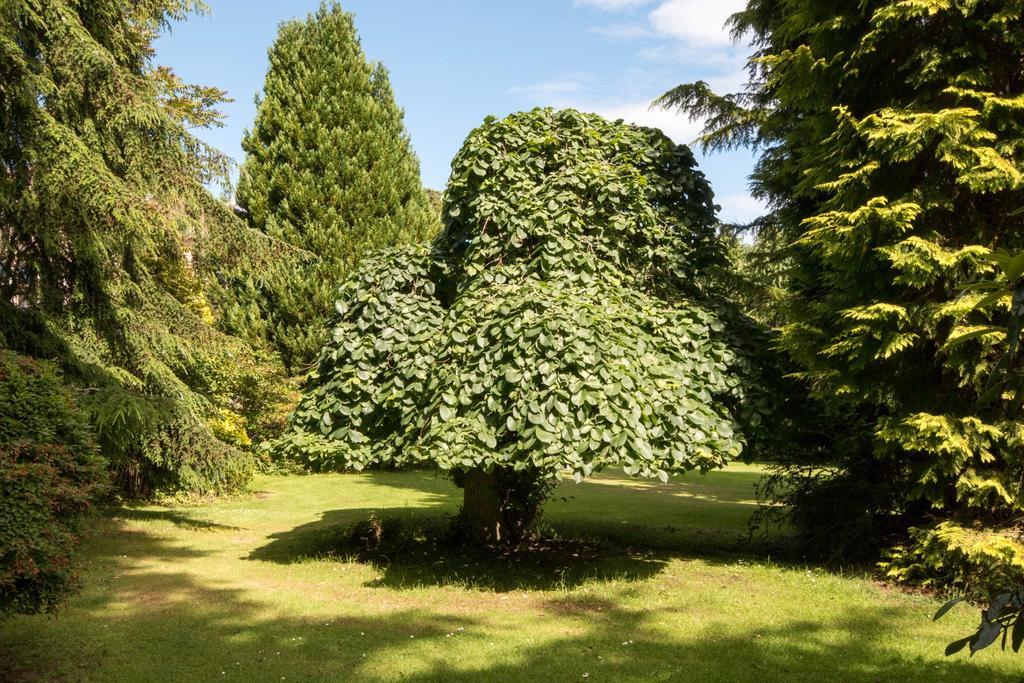 Villa Firlands à Forres Extérieur photo